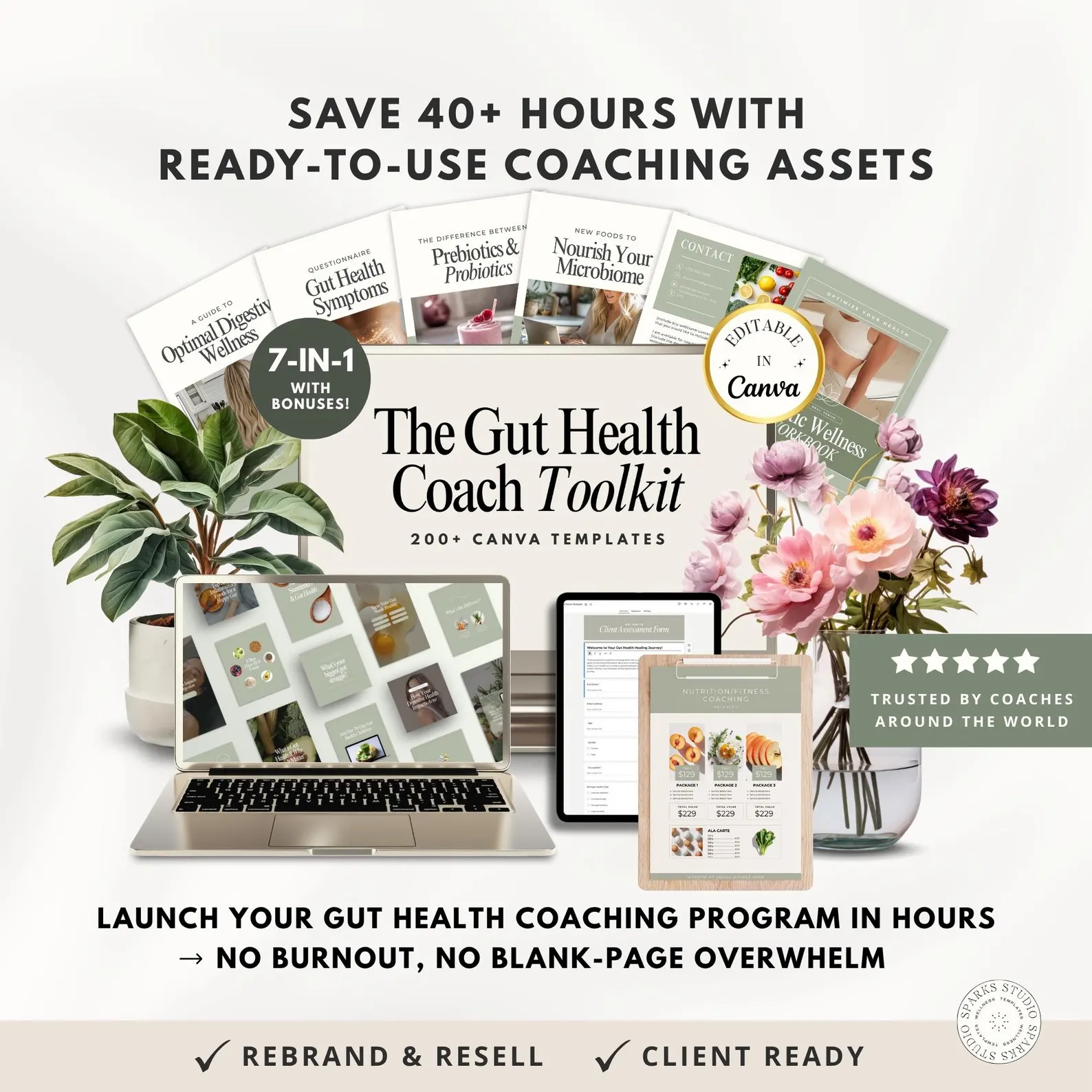Gut Health Coach Bundle Hero